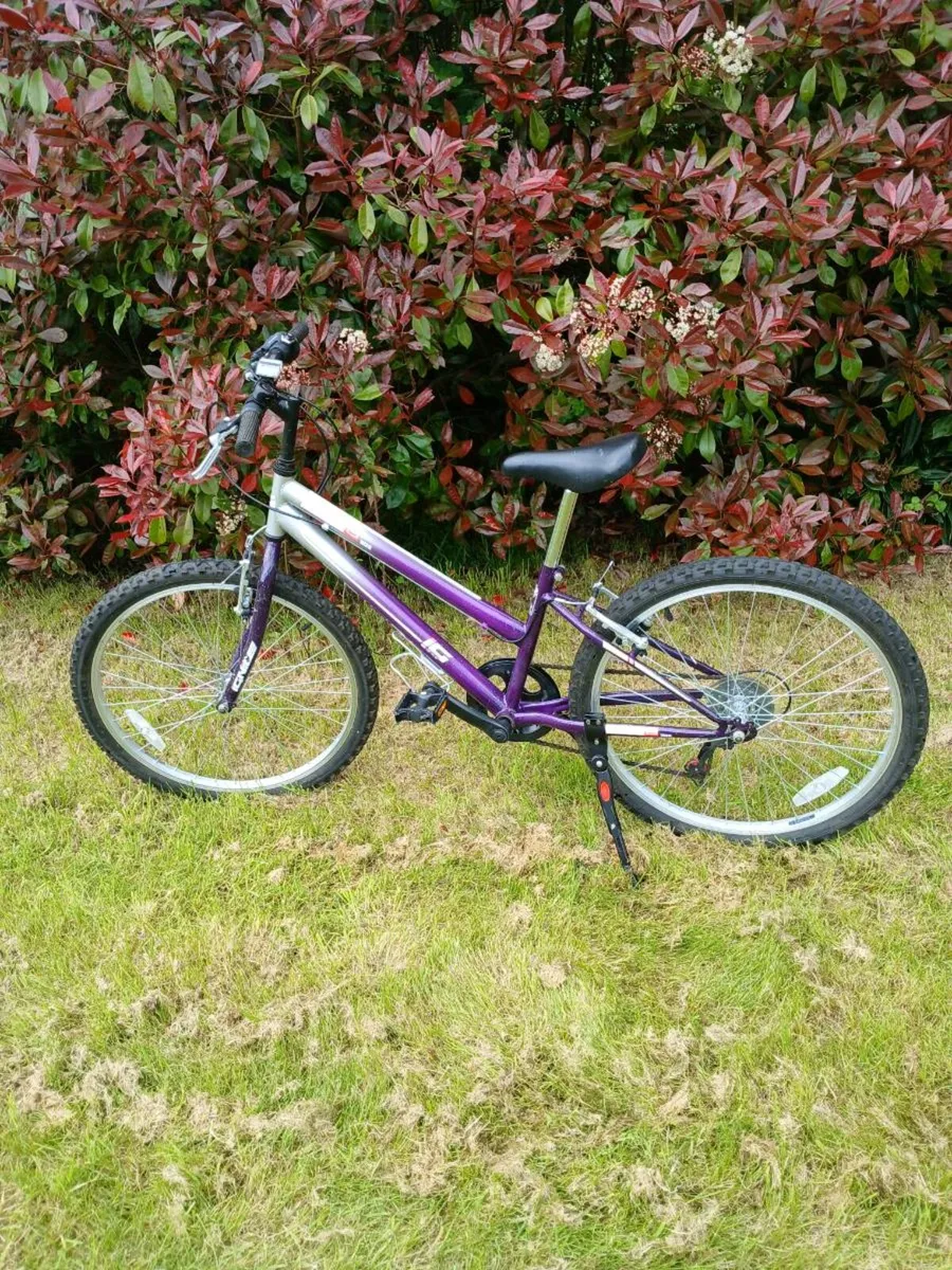Girls bike ignite Diva €130