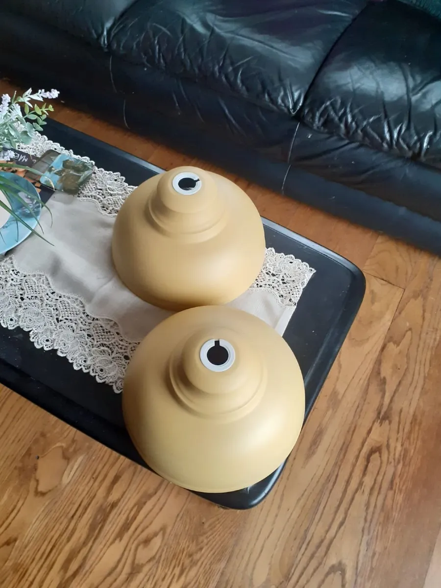 Ceiling Lampshades - Image 1