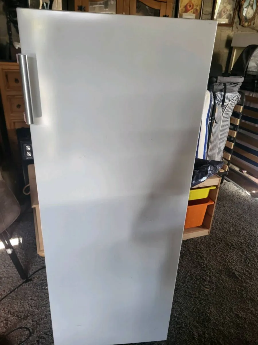 Tall freezer - Image 1