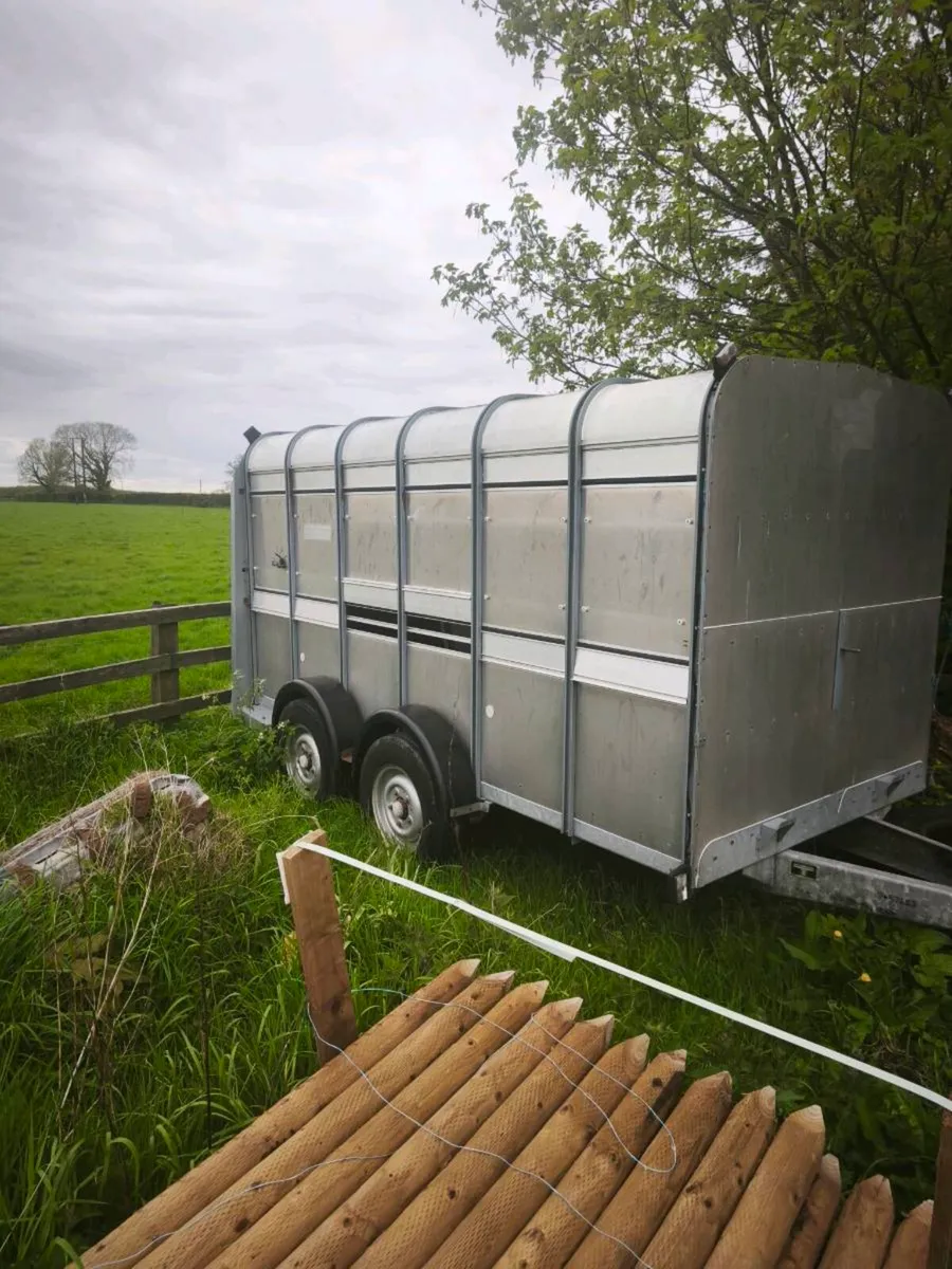 Cattle trailer - Image 1