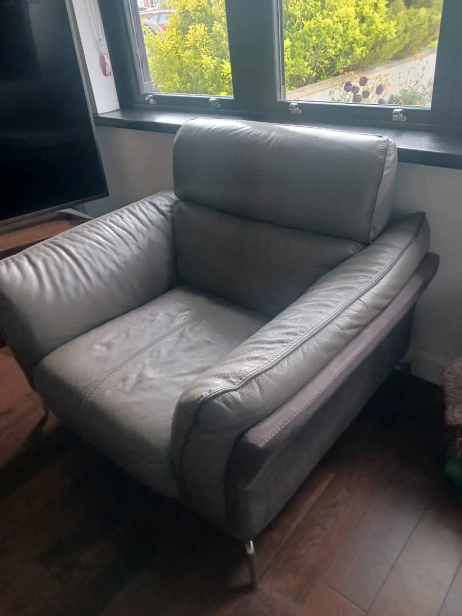 Leather Sofas - Image 1
