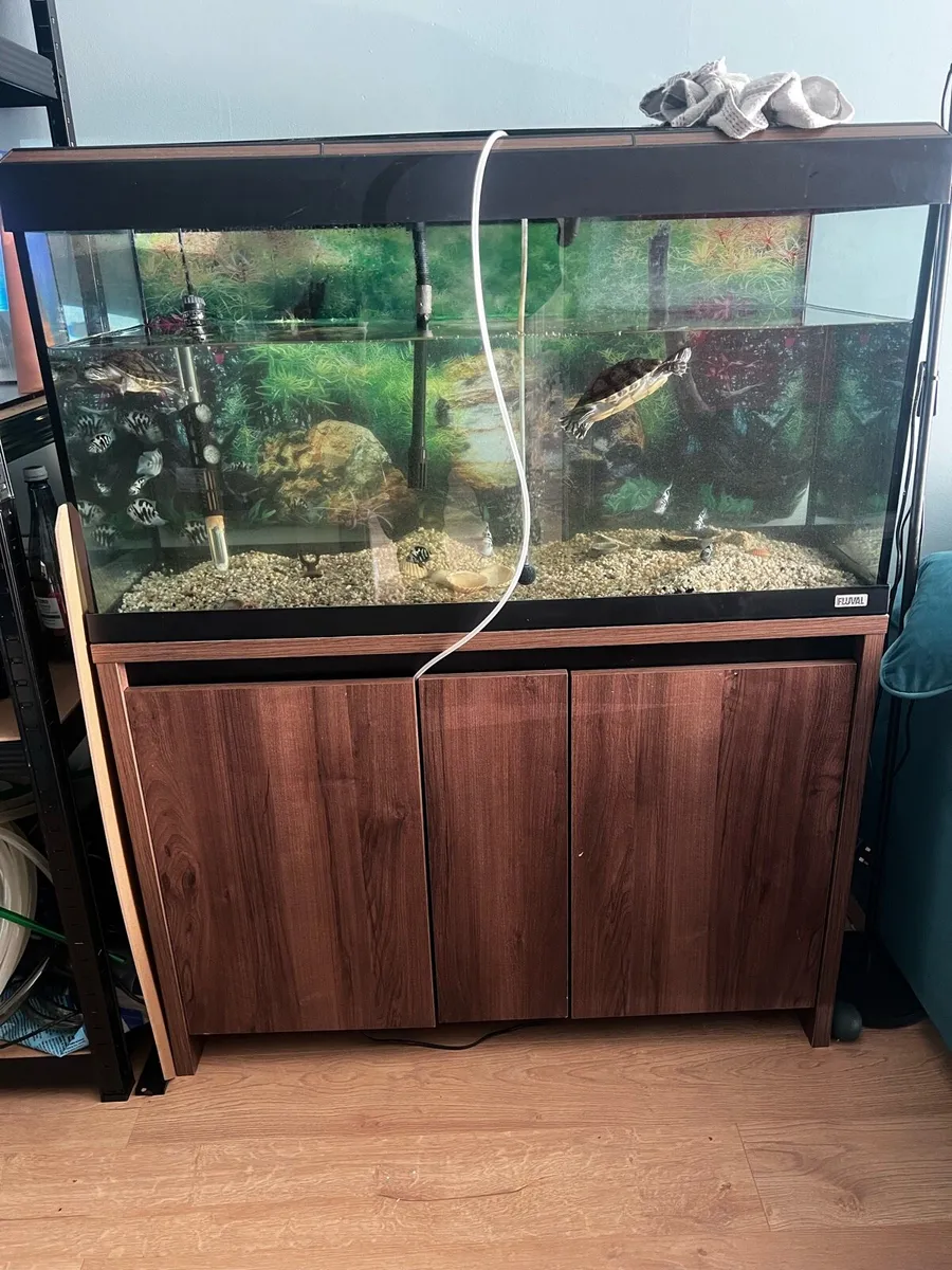 Aquariums & Freshwater Fish - Image 2