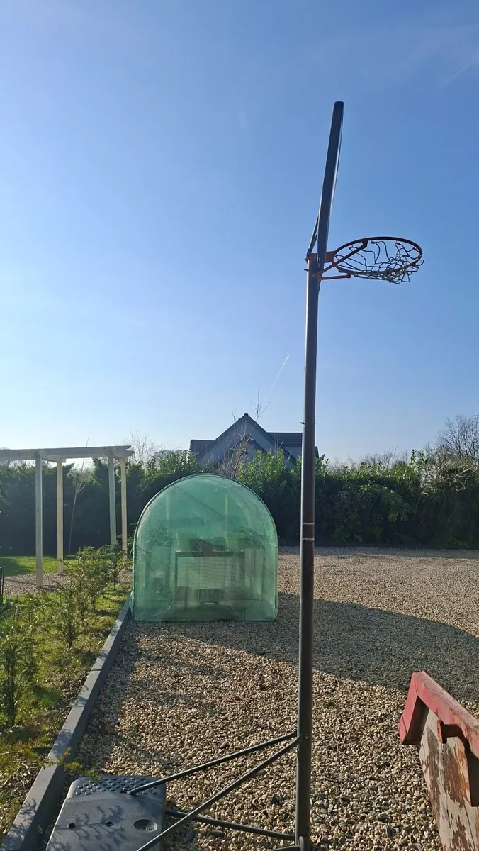 Basketball hoop and stand - Image 2