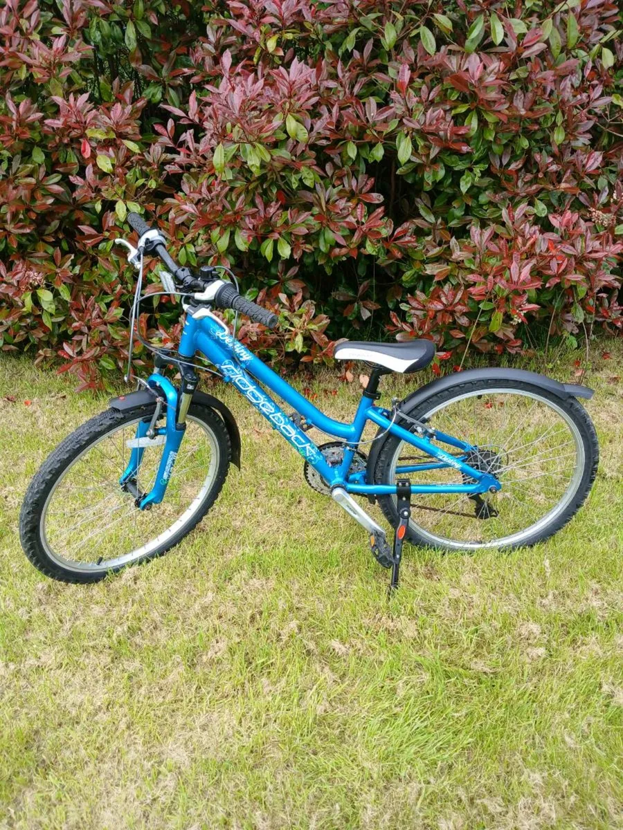 Girls Ridgeback Destiny Bike €200