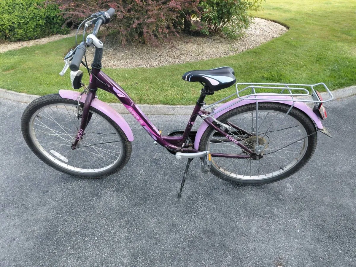 Girls bicycle - Image 1