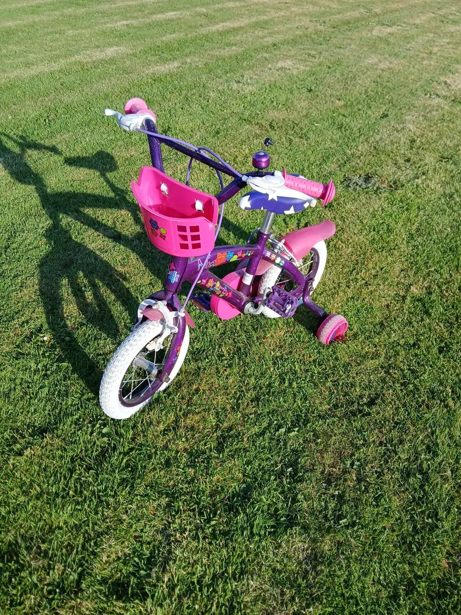 Girls Bicycle - Image 1