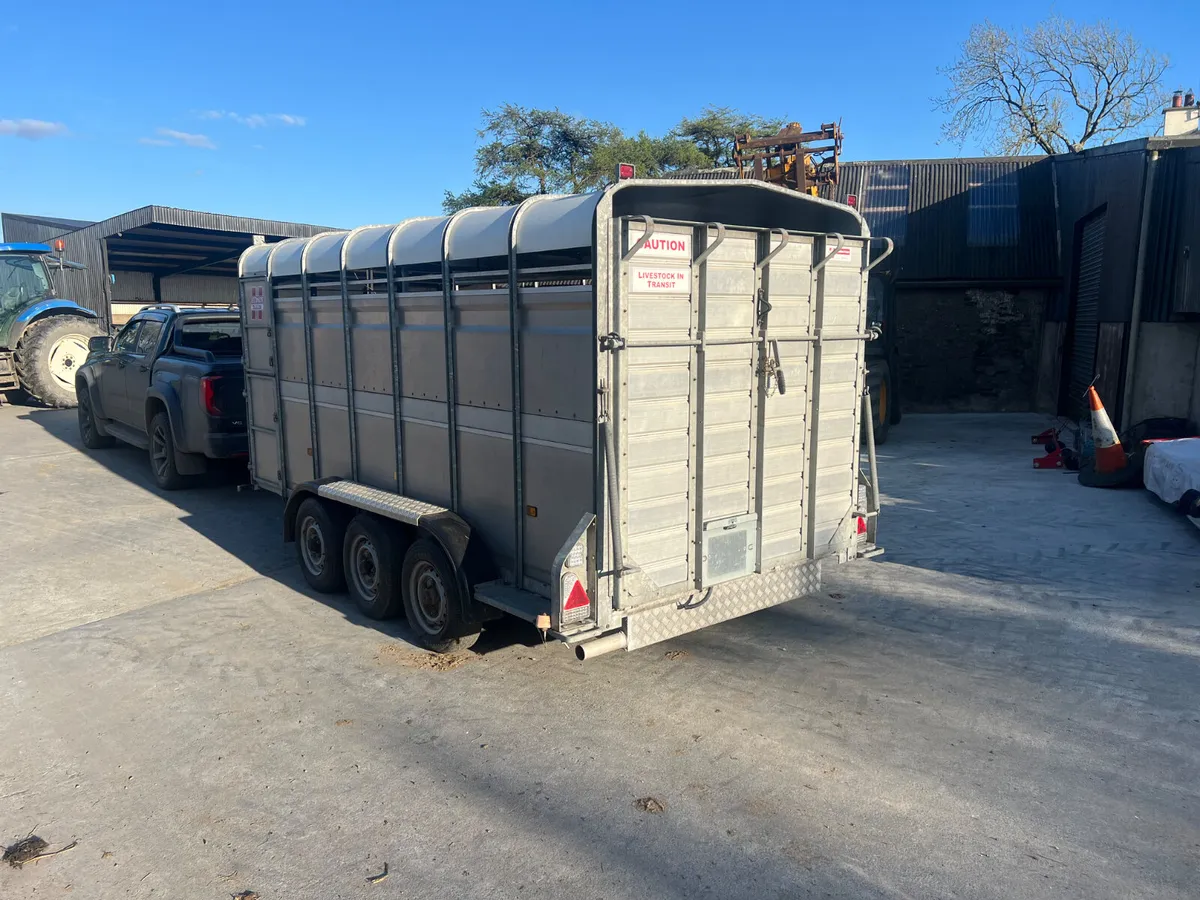 Hudson 14x6 Cattle Trailer - Image 2