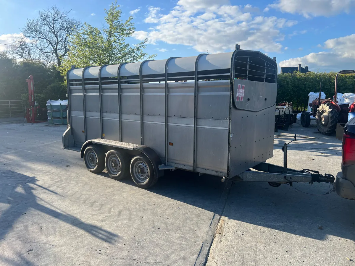 Hudson 14x6 Cattle Trailer - Image 3