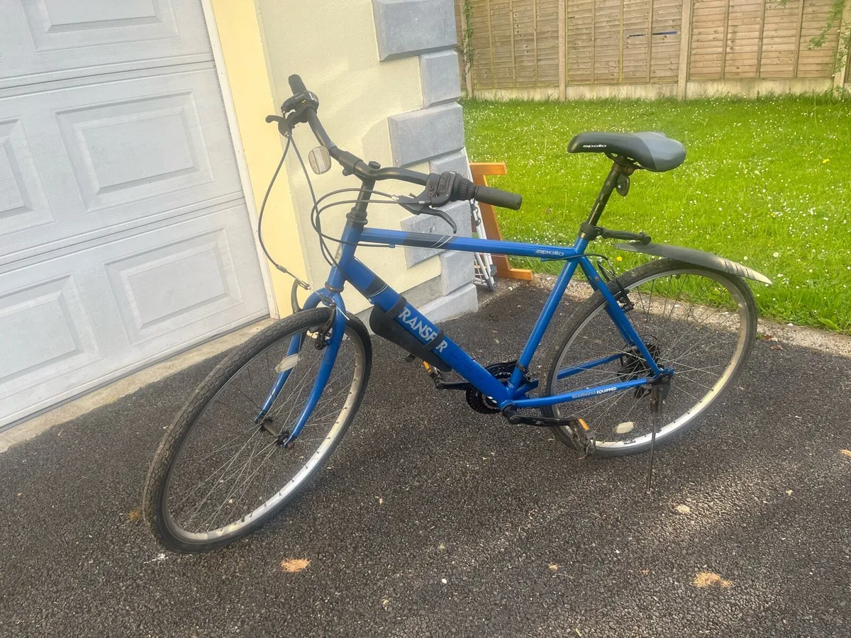 Adult bike