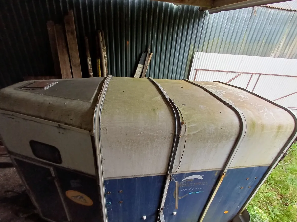 Ifor Williams 510 horse box - Image 2
