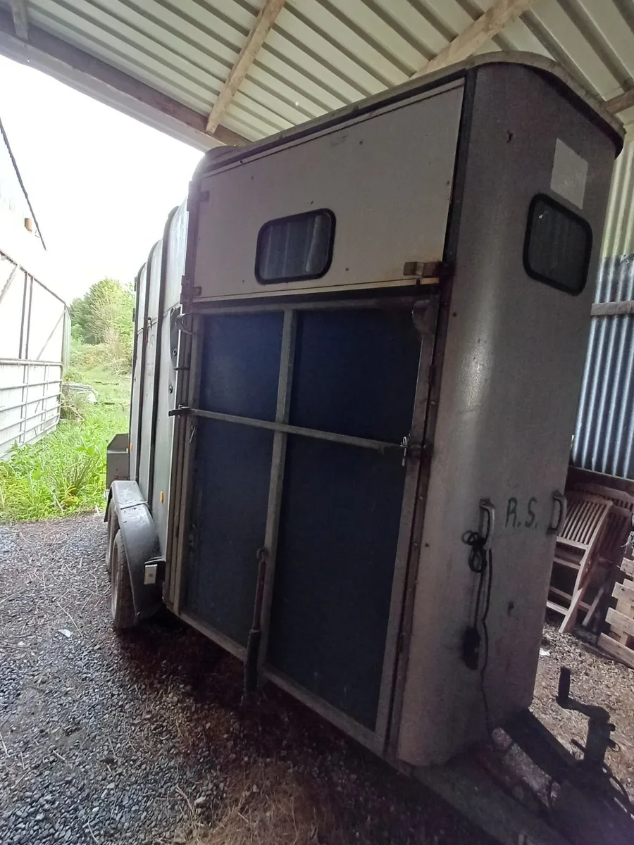 Ifor Williams 510 horse box - Image 3