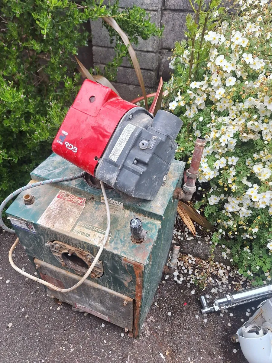 Oil Boiler