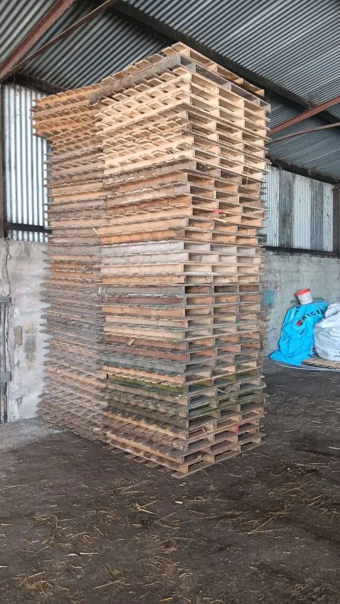 Pallets - Image 1
