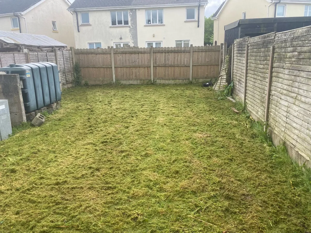 If anyone is looking to get there grass cut in Lon