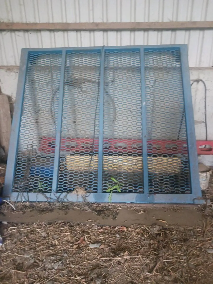 Silage Sides - Image 3
