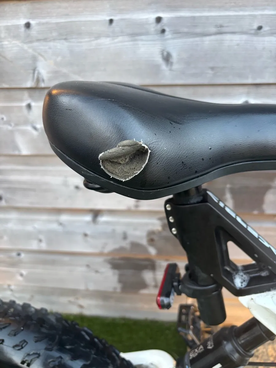 kugoo T01 e-bike - Image 2