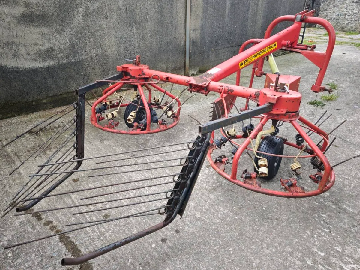 PZ Haybob 300 - Image 3