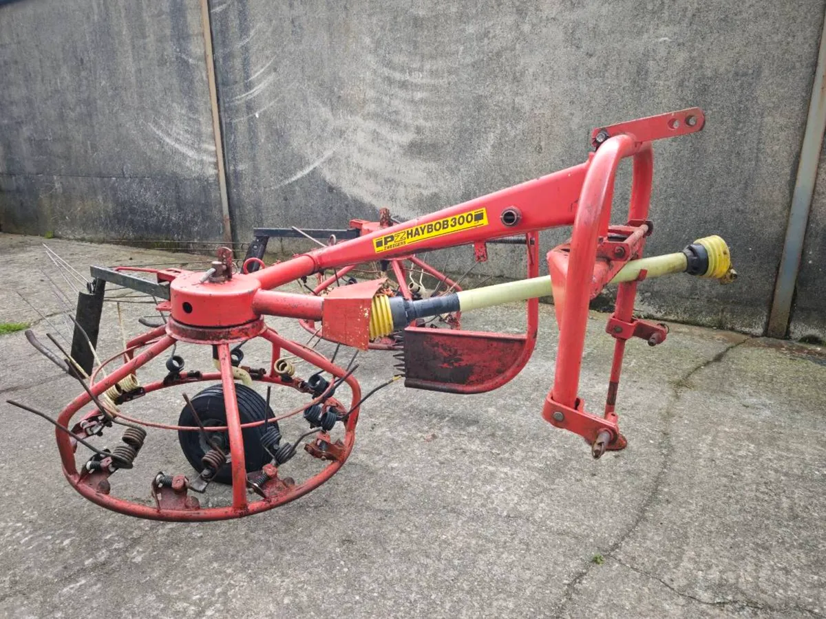 PZ Haybob 300 - Image 2