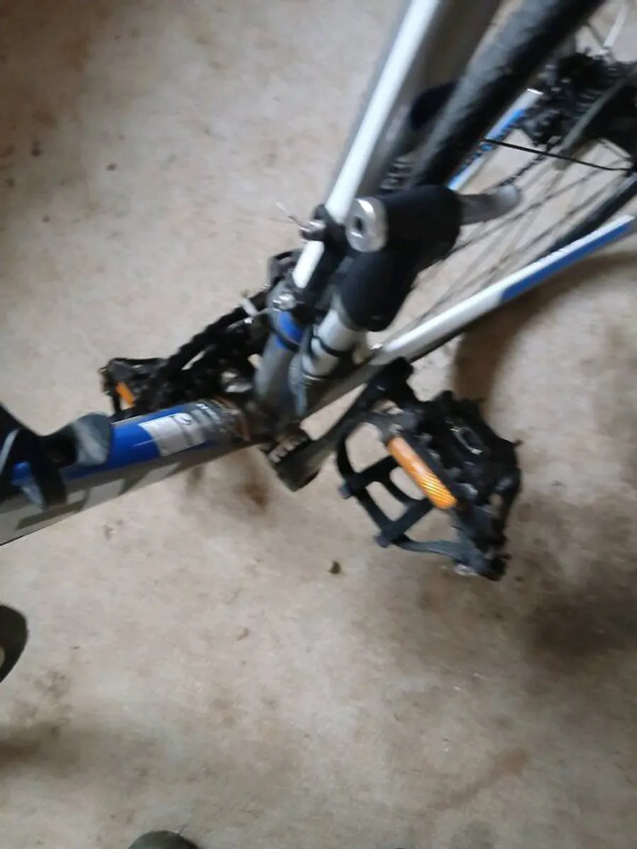 Bike - Image 4