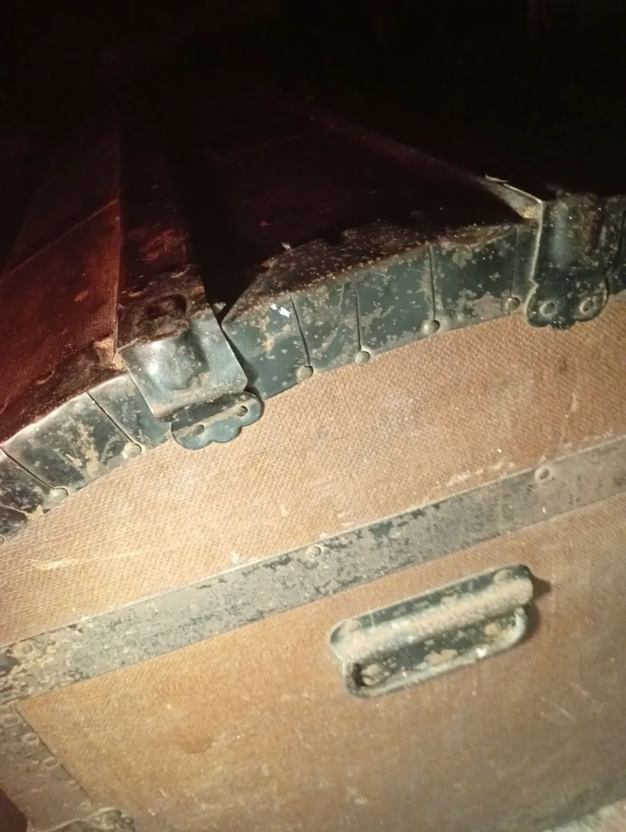 Antique chest box - Image 4