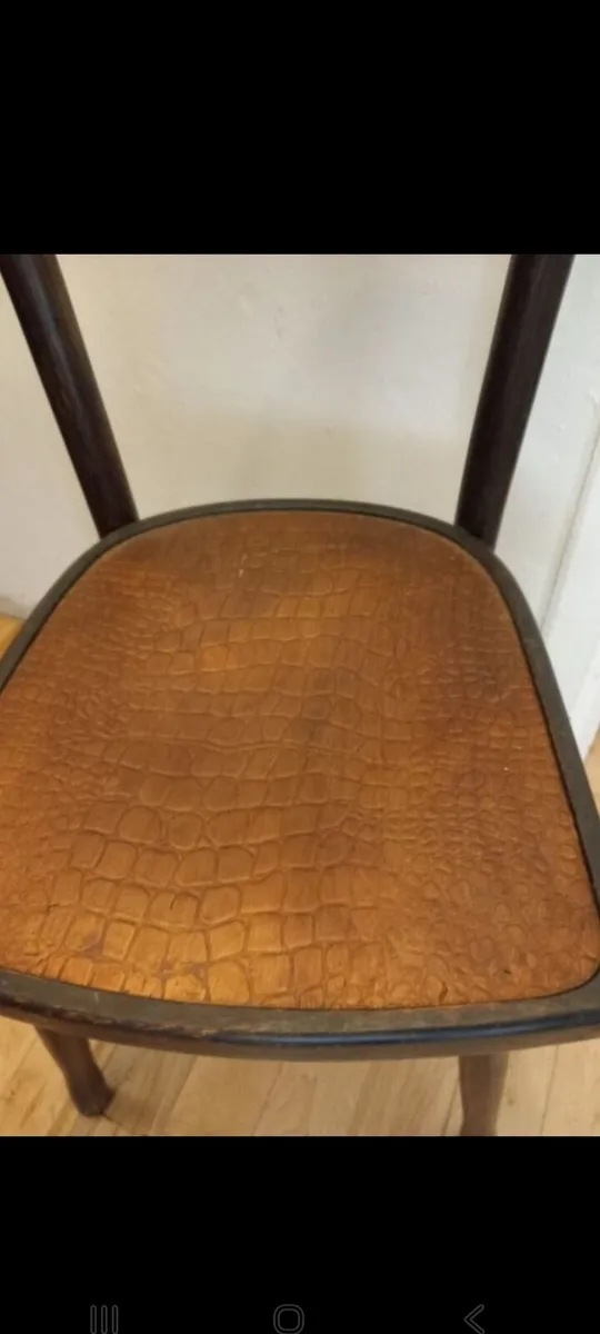 fischel crocodile design chair - Image 2
