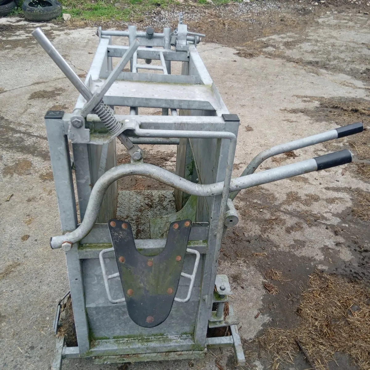 Dehorning Crate - Image 2
