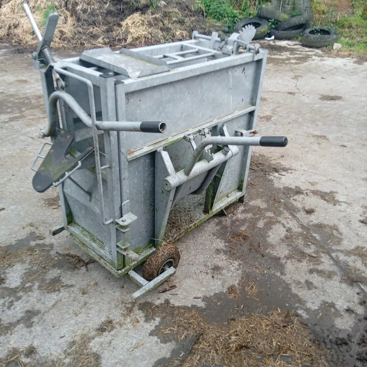 Dehorning Crate - Image 4