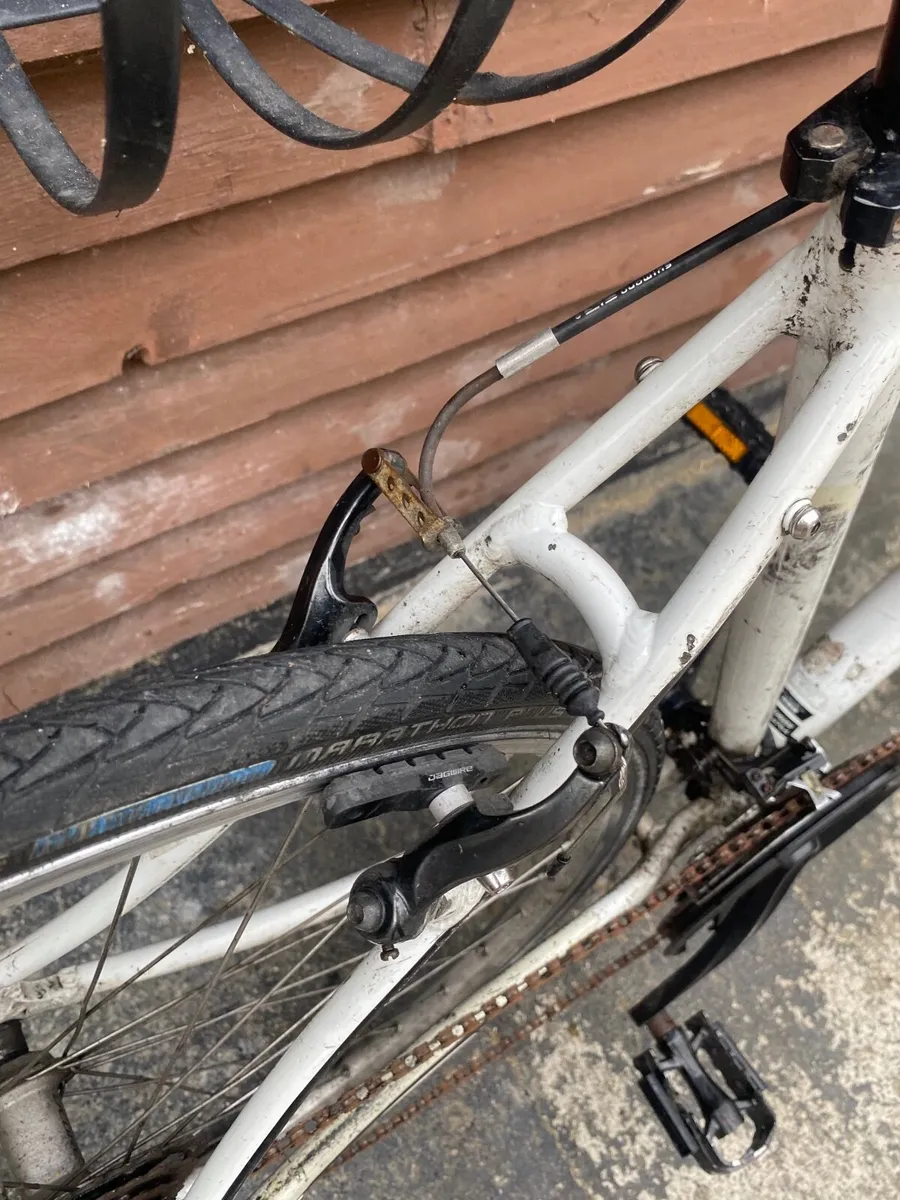 Specialized sirrus - Image 3