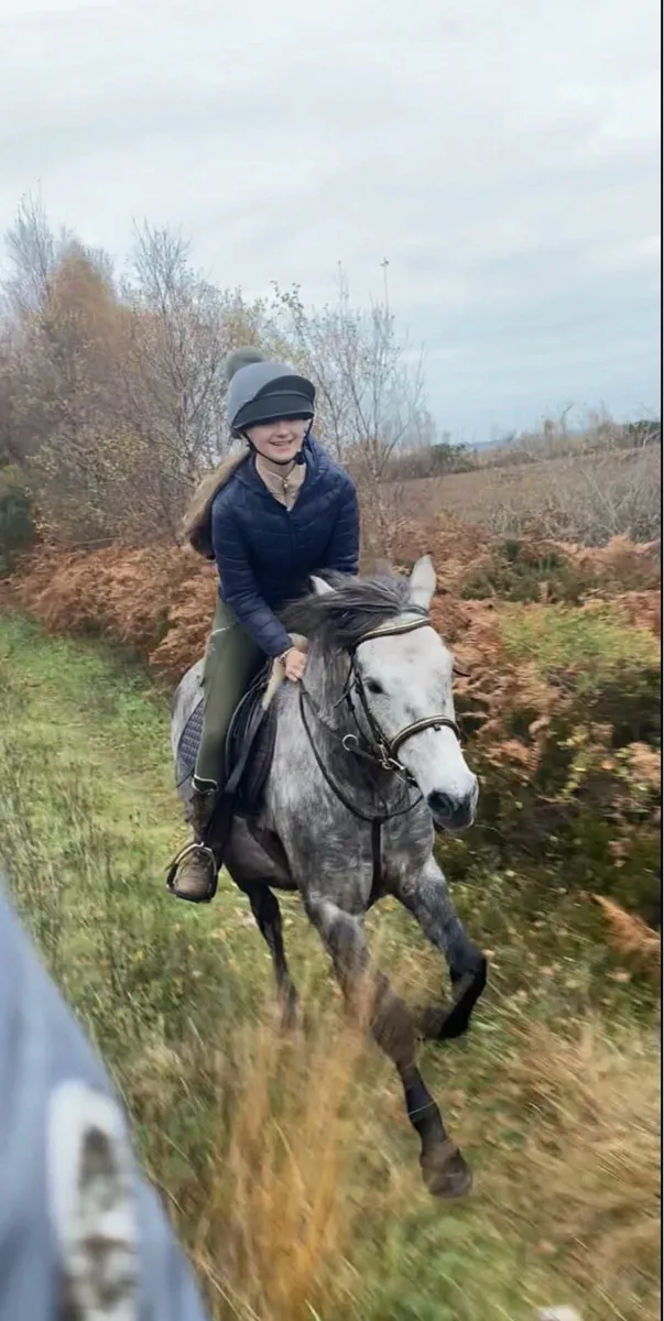 Easy 6yo 148cm Connemara pony - Image 3