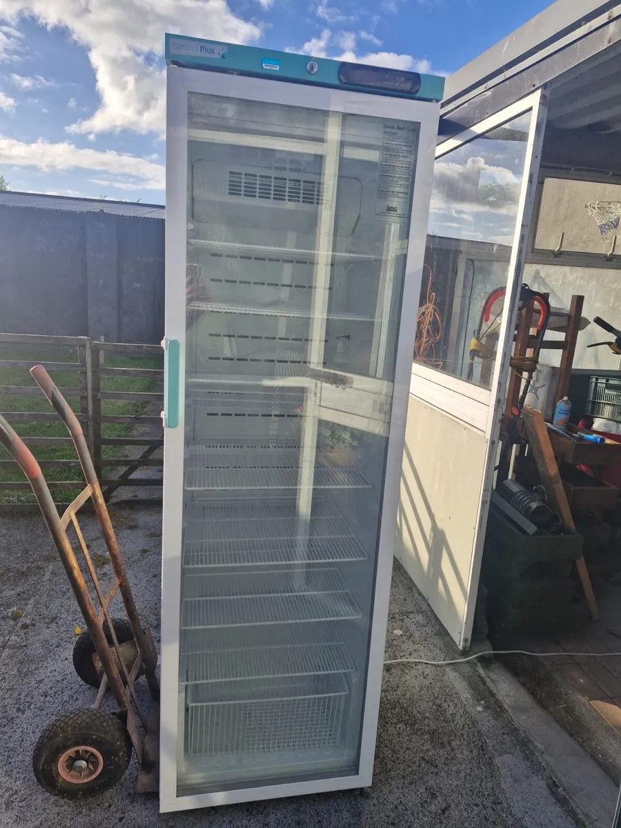 Large fridge ideal for beer or everyday use - Image 1