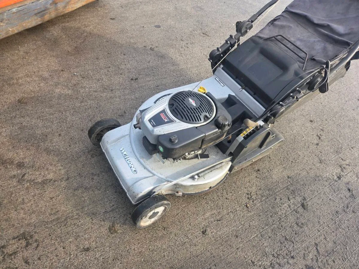 Roller lawnmower for sale - Image 2