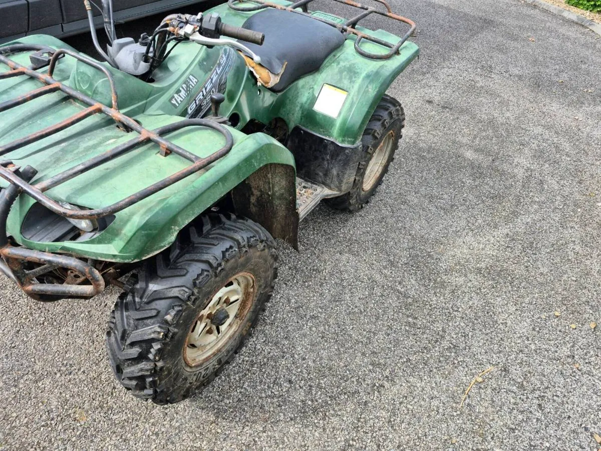 Grizzly 350 - Image 2