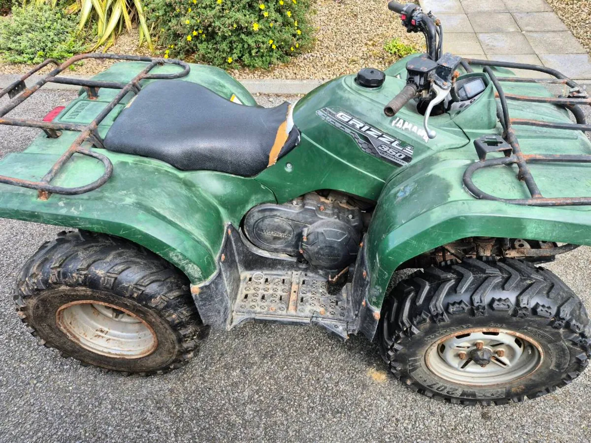 Grizzly 350 - Image 3