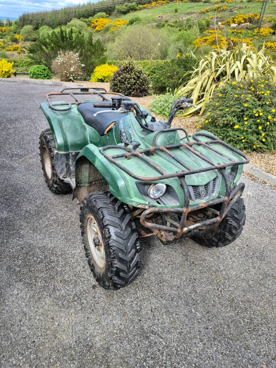 Grizzly 350 - Image 1