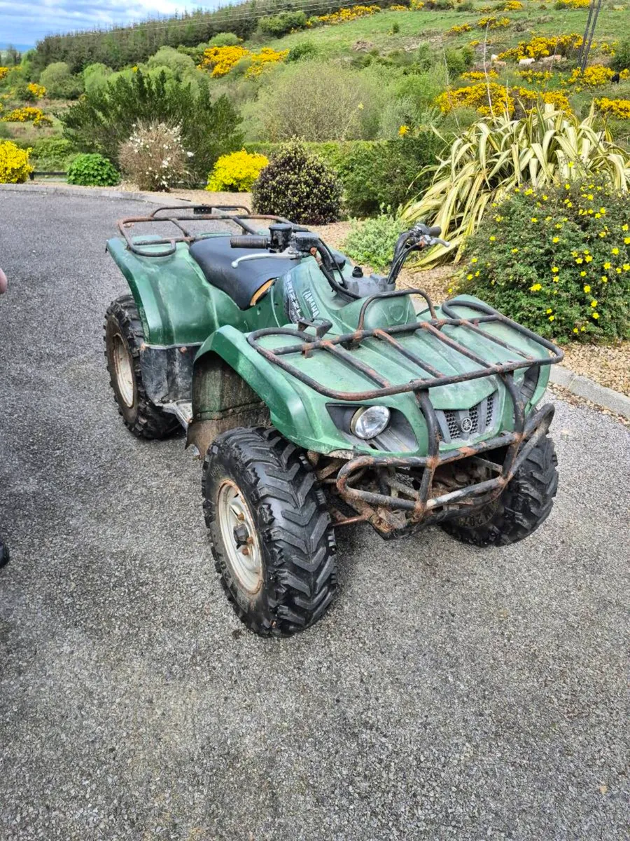 Grizzly 350 - Image 4