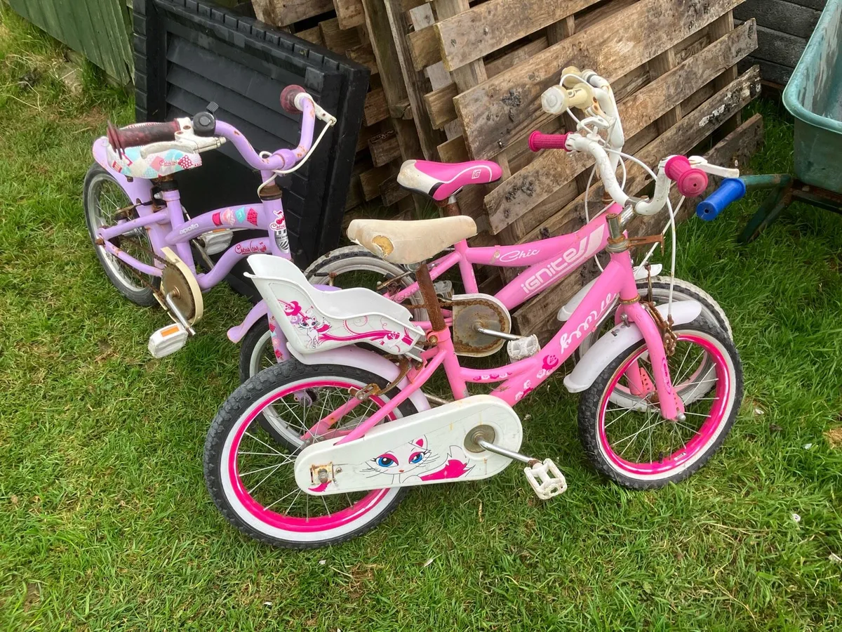 Free bikes - Image 1