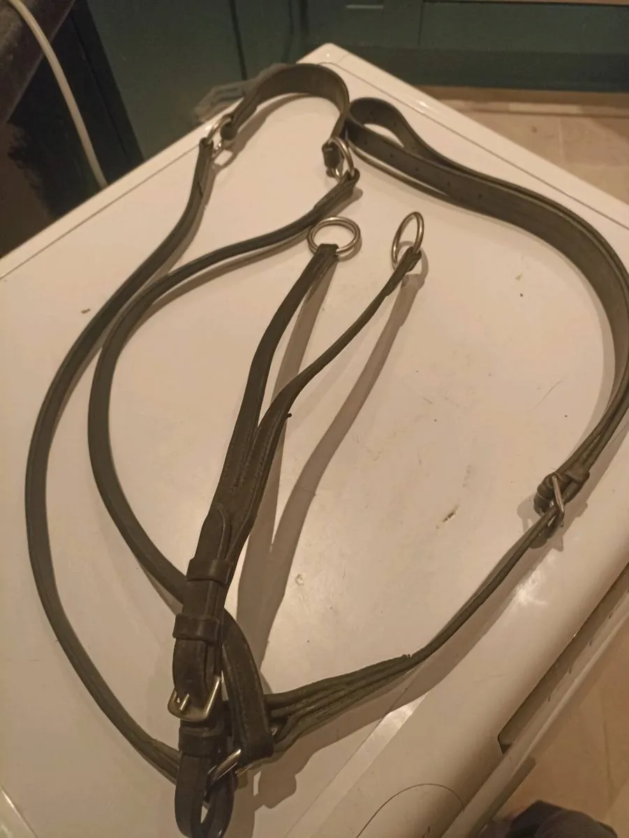Martingale - Image 1