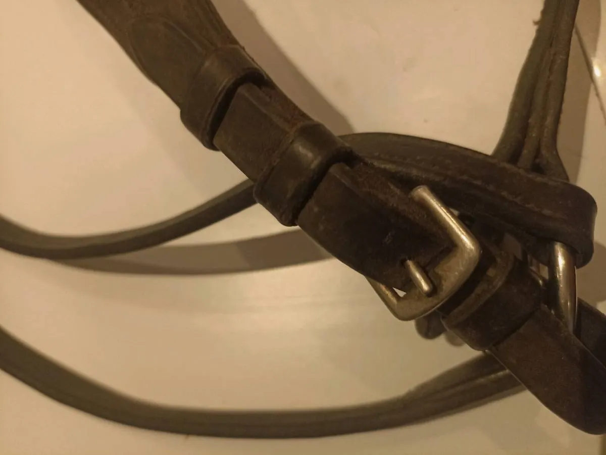 Martingale - Image 2