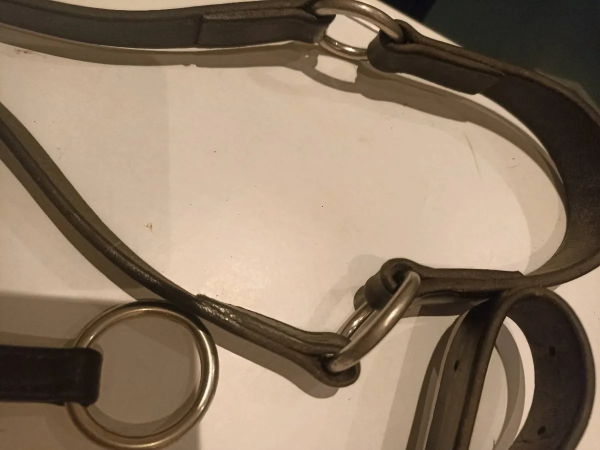 Martingale - Image 3