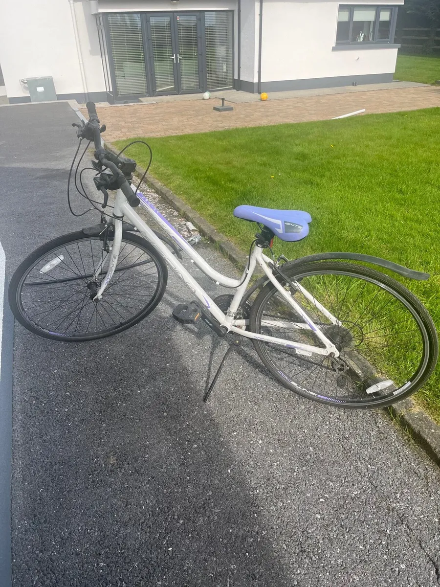 Ladies Bike - Image 2