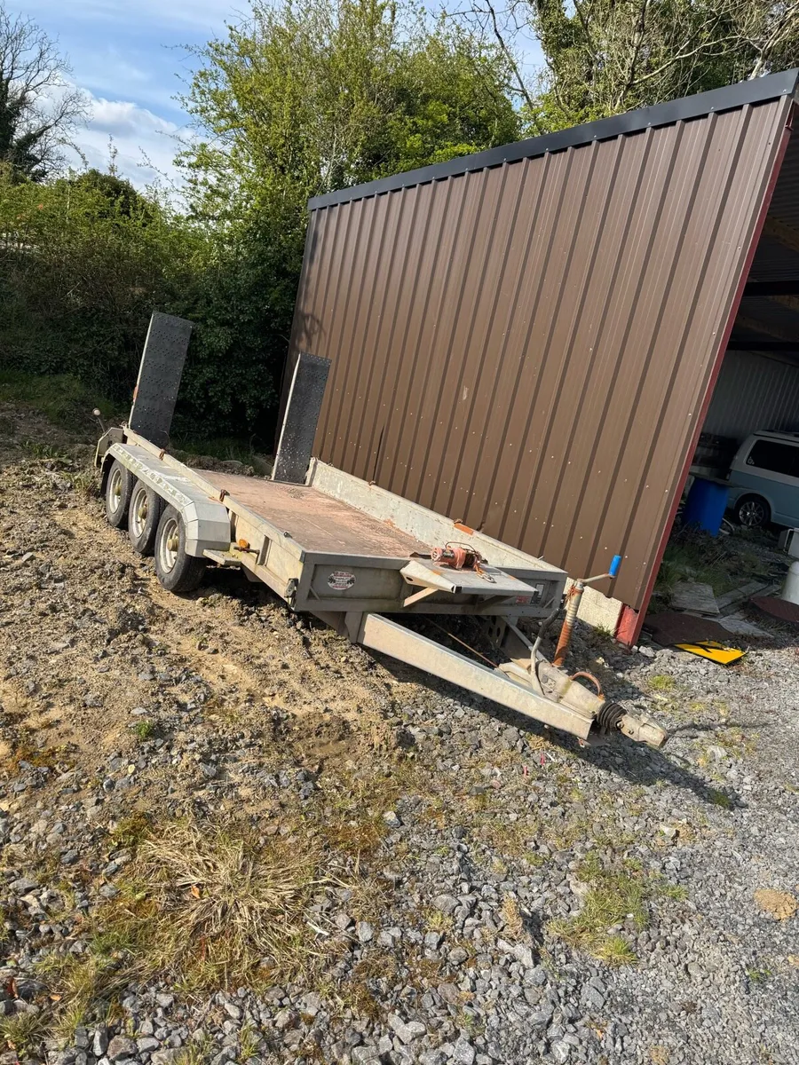 Mini digger hire - Image 4