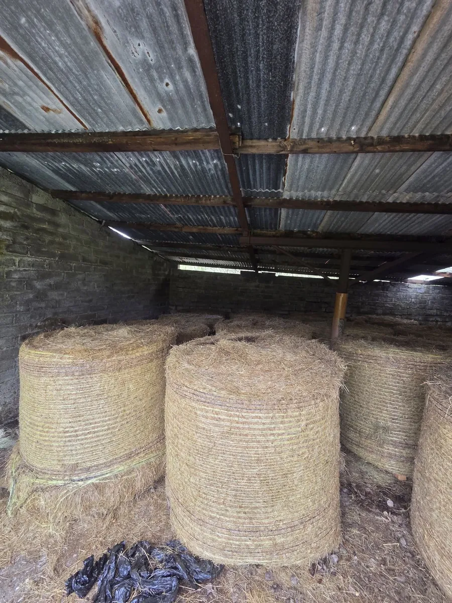 16 bales Hay - Image 4