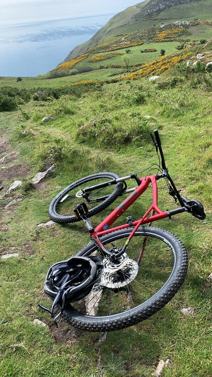 Bike - Image 2