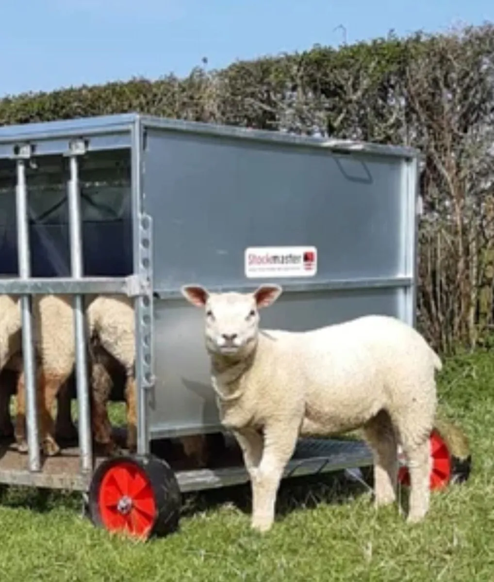 Stockmaster 987 Champion Creep Feeders - Image 3