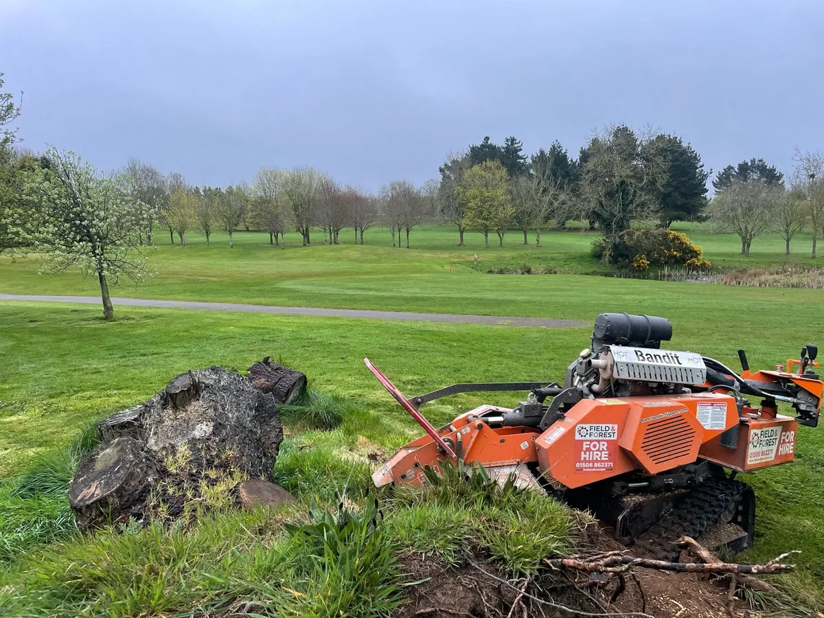 Stump grinding - Image 4