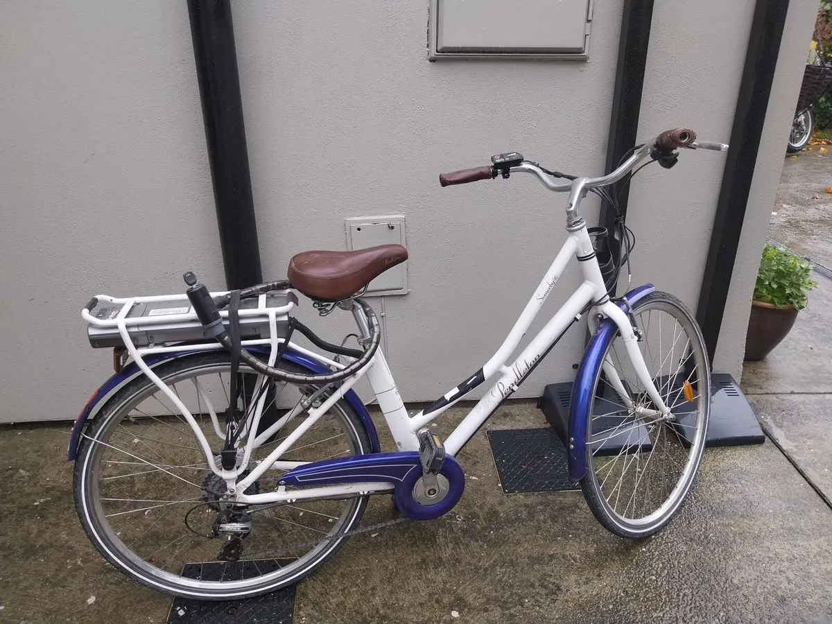 E bike