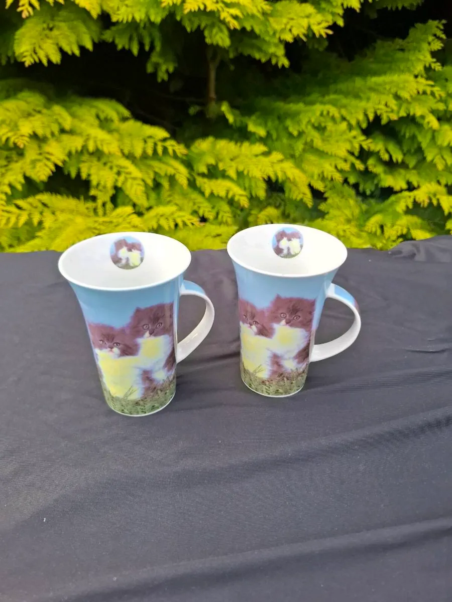 Duo cat porcelain mugs postage possible