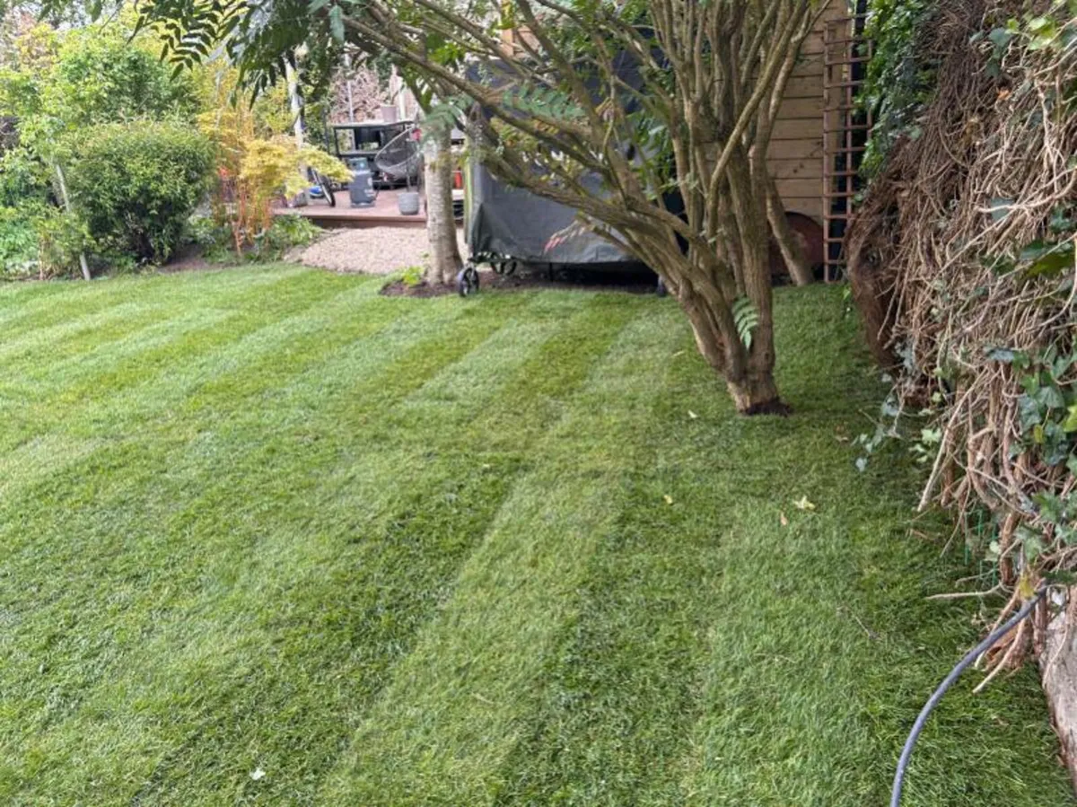 Gardening maintenance,Landscaping - Image 4