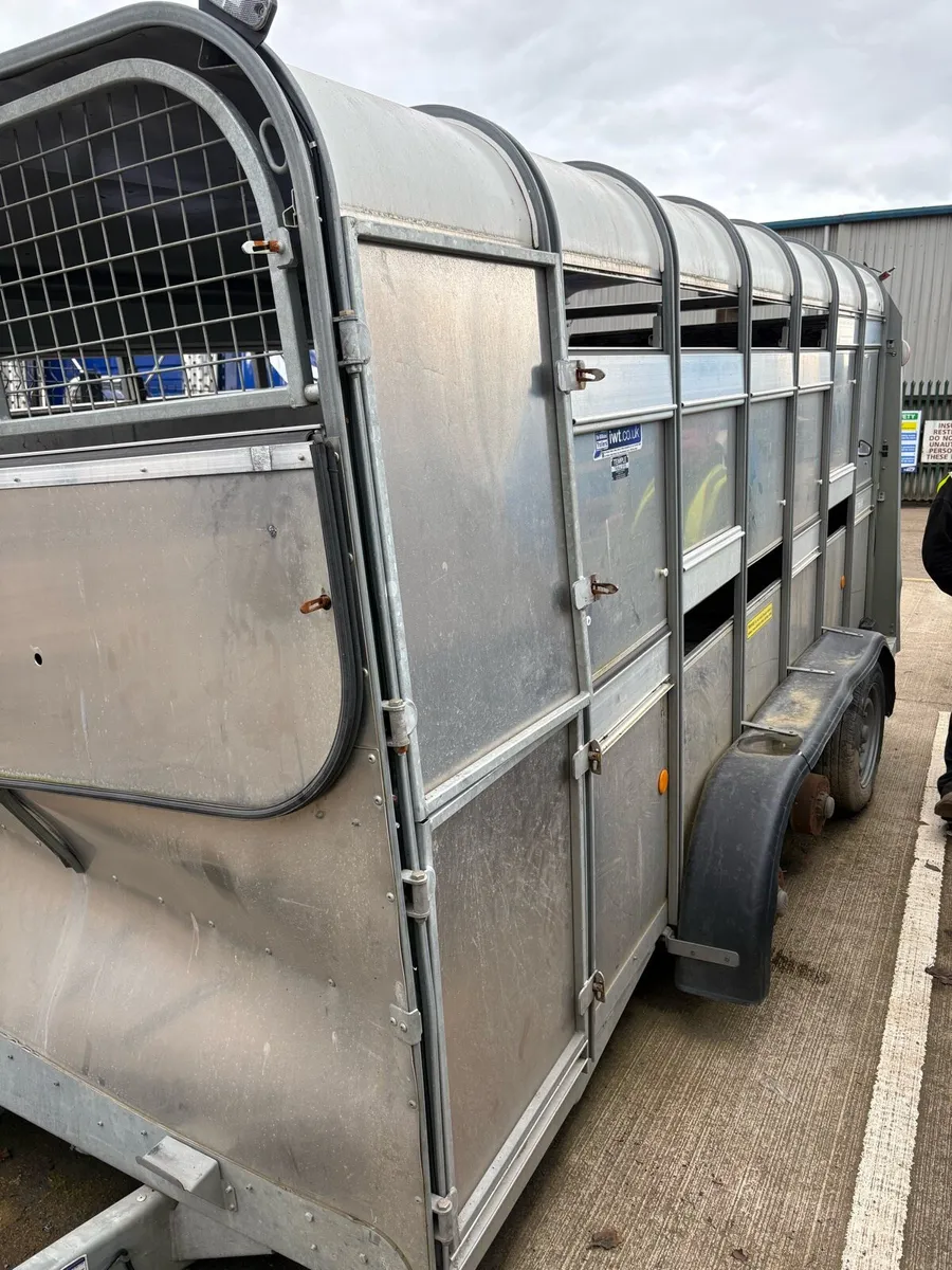 Cattle Trailer - Image 4