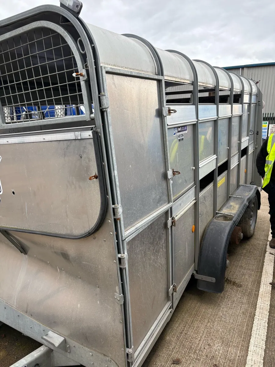 Cattle Trailer - Image 3